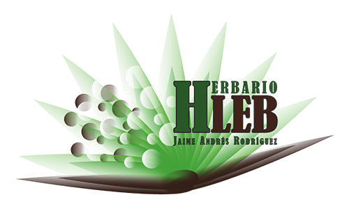 Herbario LEB – Jaime Andrés Rodríguez